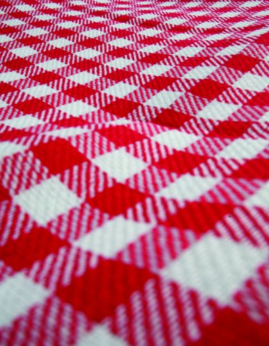 Camco Classic Red & White Checkered Picnic Blanket with Waterproof Backing - Includes Convenient Carry Strap | Comfortable and Durable Material | Measures 51" x 59" - (42803)