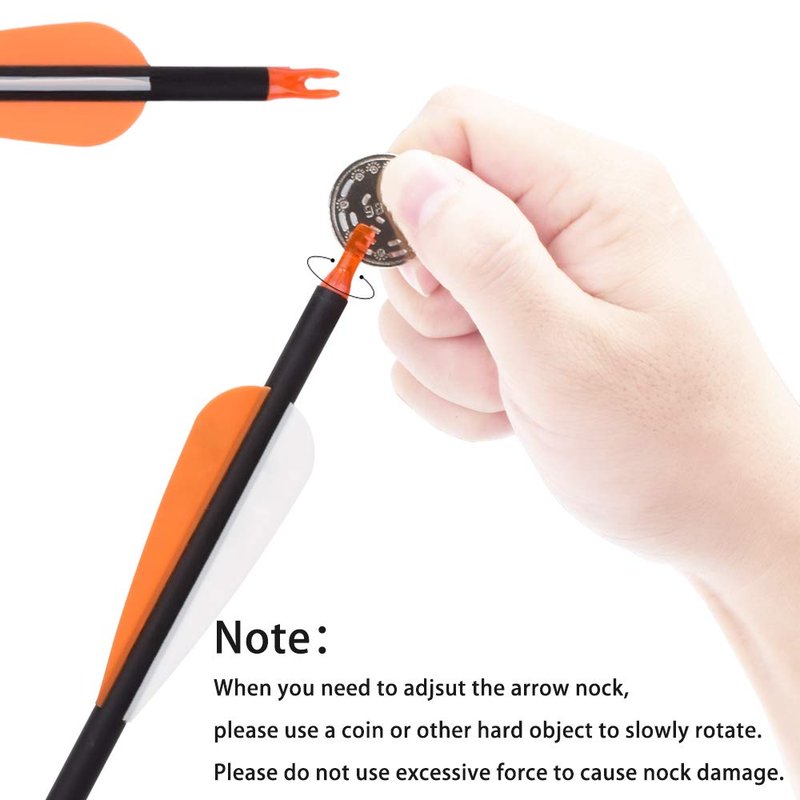 30Inch Carbon Arrow Practice Hunting Arrows Targeting with Removable Tips for Archery Compound & Recurve & Traditional Bow (Pack of 12)