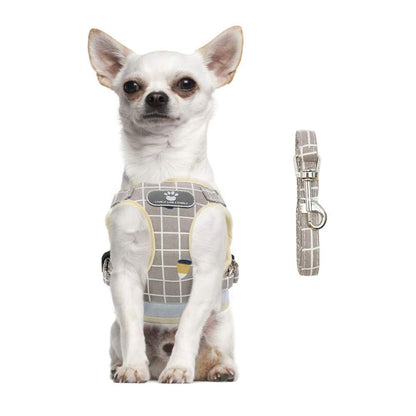 FEimaX Dog Harness and Leash Set, No-Pull Breathable Soft Mesh Puppy Vest Harness Reflective Adjustable Pet Harnesses for Small Medium Dogs and Cats - Outdoor Easy Control for Walking