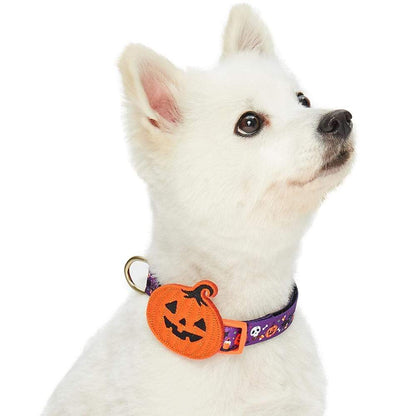 Blueberry Pet Halloween Pumpkin Party Designer Adjustable Dog Collar with Detachable Decoration, Medium, Neck 14.5"-20"