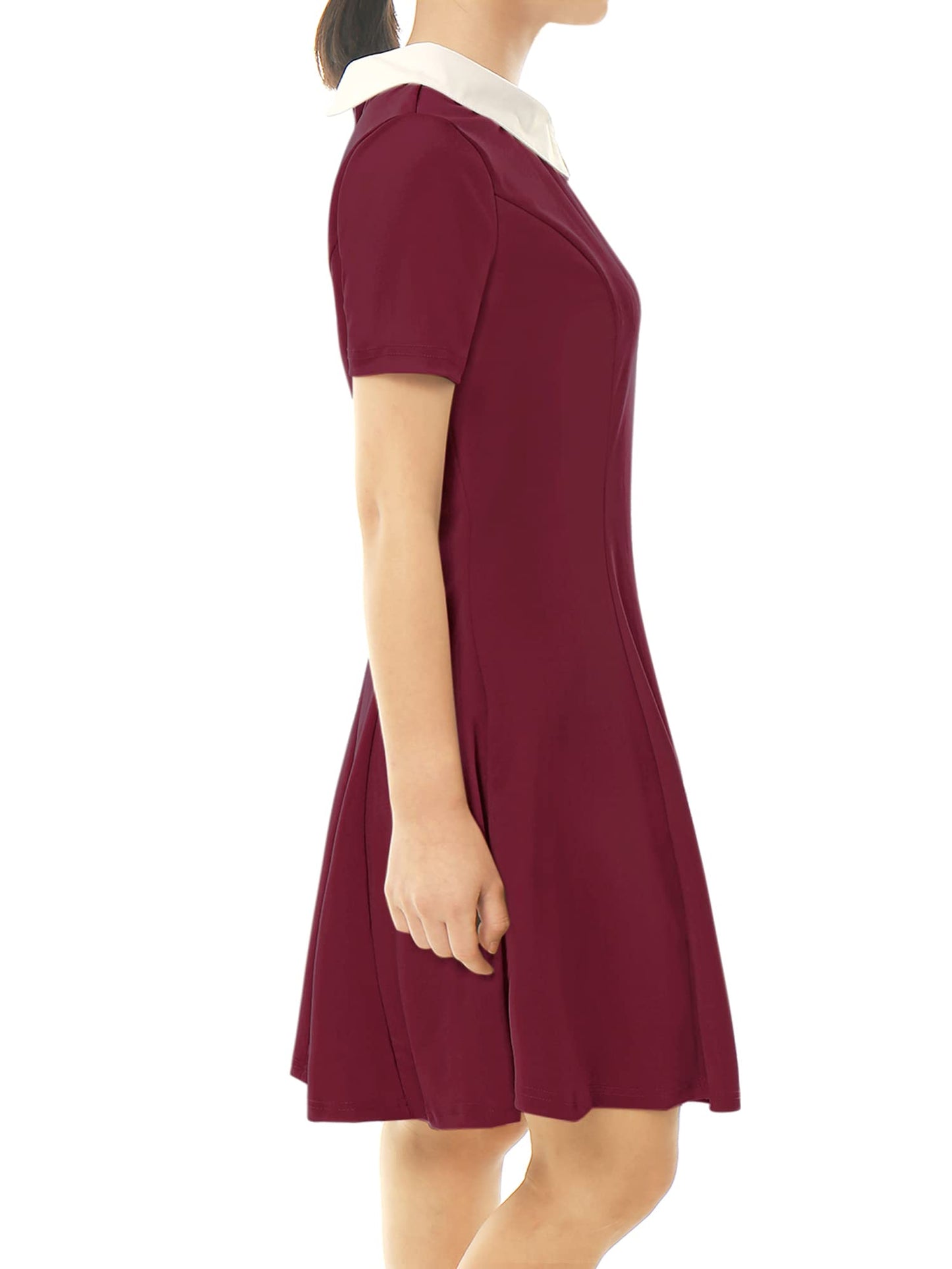 Allegra K Women's Flare Dress Halloween Contrast Peter Pan Collar Short Sleeves Wednesday Addam Dresses X-Small Burgundy