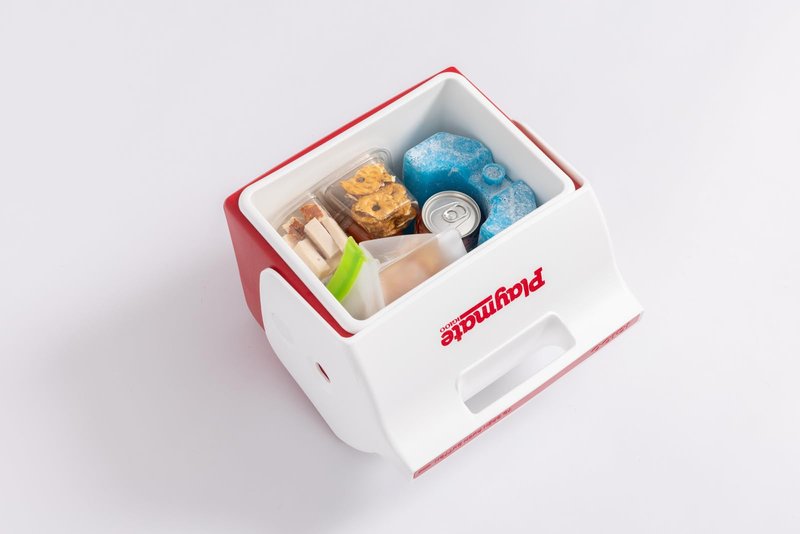 Igloo Maxcold Ice Blocks, Reusable Ice Packs for Coolers, Freezer Pack, Cold Packs for Coolers, Long Lasting Ice Blocks