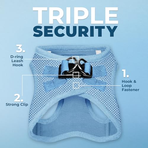 Best Pet Supplies - All Weather Mesh, Reflective, No Pull Harness for Small, Medium Dogs, Cats - Secure with Hook & Loop Fastener, Buckle, Double D-Rings - Baby Blue, M