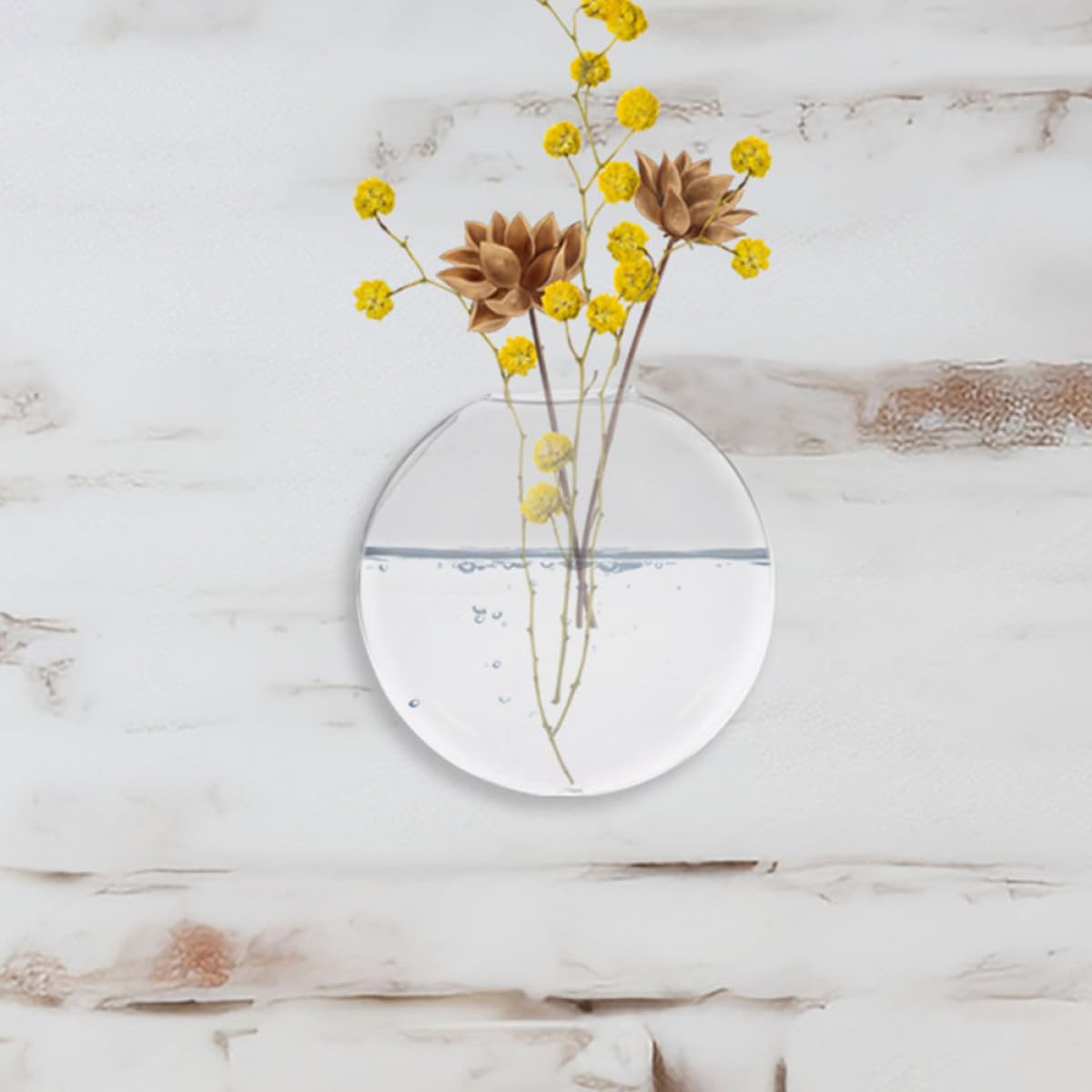 Uonlytech 2pcs Wall-Mounted Glass Hydroponic Vase Set for Indoor Plants Flat Glass Flower Vases with Hanging Holder Decorative Terrariums for Home Garden