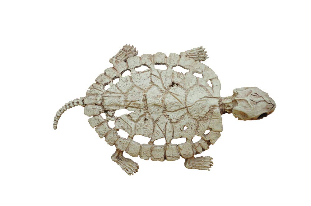 Morris Costumes Turtle Skeleton Decoration