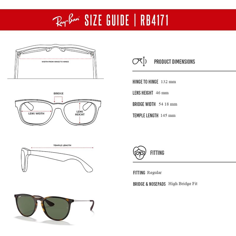 Ray-Ban RB4171 ERIKA 710/71 54MM Light Havana/Plastic Lens G-15 Green Round Sunglasses For Women +BUNDLE with ACCESSORY EYEWEAR KIT