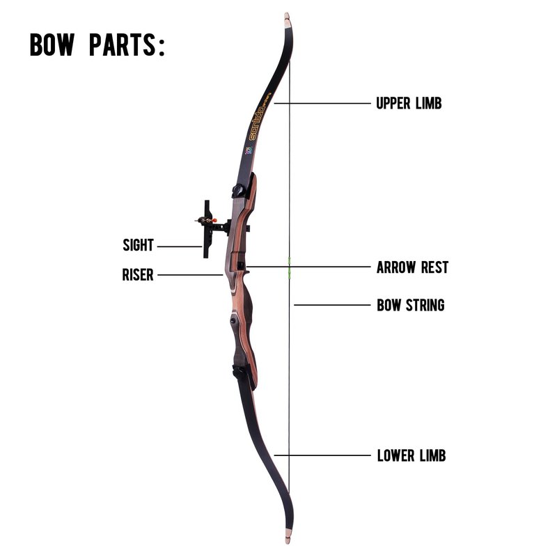 Sanlida Noble Standard Beginner & Intermediate Recurve Bow and Arrows Kit for Adult and Youth, Wooden Takedown Recurve Bow Package for Training, Practice & Competition RH Only (68", 32lbs)