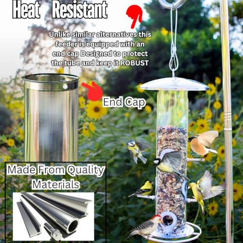 HEAVY DUTY stainless steel metal bird feeder, easy clean garden bird seed feeders hanging, bird feeders for small birds, bird feeders hanging for wild bird, hanging bird feeder for backyard BY PROVIDE