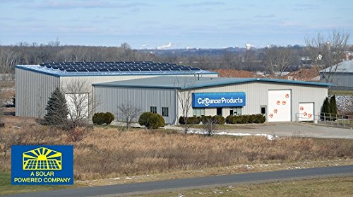 Cat Dancer Interactive Cat Toy - Fun and Fitness for Your Furry Friend - Engaging Paper Roll Attached with 30 Inches Flexible Spring Steel Wire for Playful Cats – 2 Pack