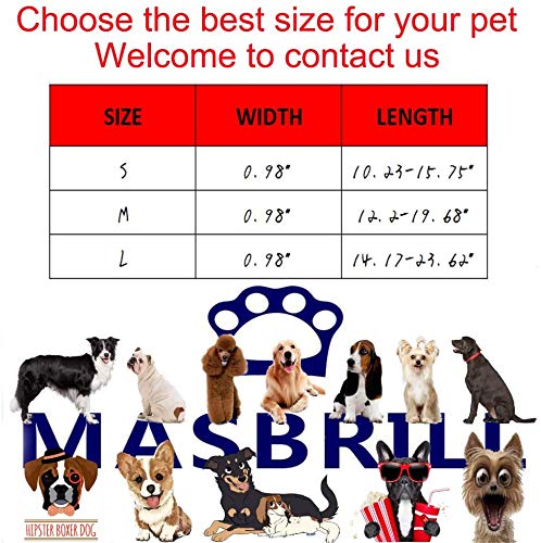 MASBRILL Light Up Dog Collar, LED Dog Collar Lights for the Dark, Rechargeable and Waterproof Flashing Dog Collars with 3 Glowing Modes, Adjustable Pet Collar for Small/Medium/Large Dog(Blue M)