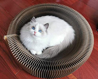 BobbyPet Cat Scratcher Lounge Bed - Collapsible Round Shape for Big cat