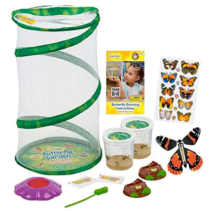 Insect Lore Butterfly Garden 8" Habitat Gift Set with 10 Live Baby Painted Lady Caterpillars - Includes Baby Caterpillars, Raising Supplies, 3D Butterfly Stickers and Butterfly Wind-up Toy