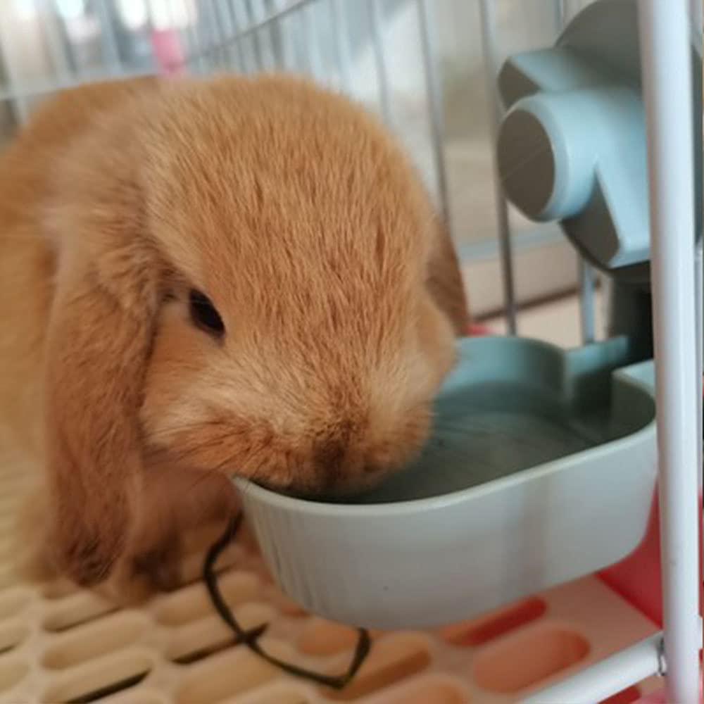 17oz No Leak Rabbit Waterer Feeder, No Drip Water Feeder Water Bowl for Guinea Pig Hamster Chinchilla Ferret Small Animal