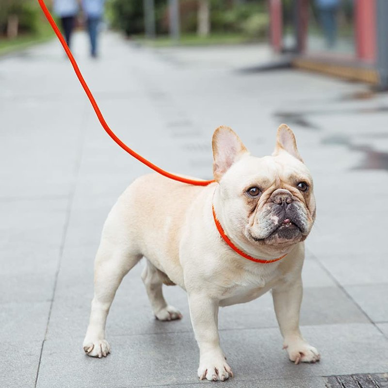 Vivifying Floating Long Dog Leash, 32FT Long Leash for Dog Training, Lightweight Check Cord for Outdoor, Hiking, Swimming, Beach and Lake