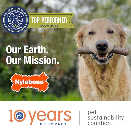 Nylabone Puppy Teething Chew Toy Freezer Bone with Soothing Cloth, Peanut Butter Flavour, S, for Puppies Up to 11 kg