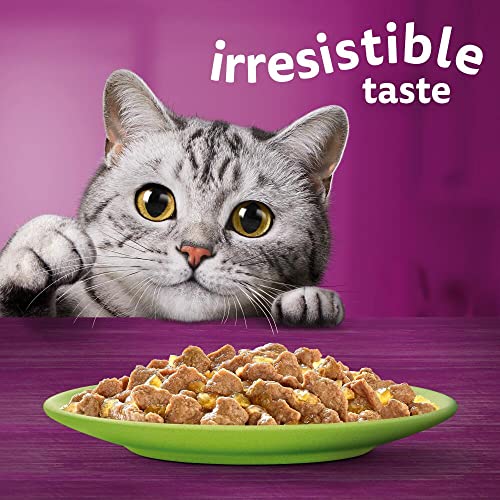 whiskas 1 plus Adult Mixed Selection in Jelly 84 Pouches, Adult Wet Cat Food, Megapack (84 x 85 g)