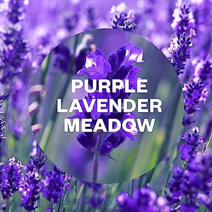 Air Wick |Purple Lavender Meadow |Automatic Air Freshener|Freshmatic Auto Spray Refill | 250ml| Pack of 4