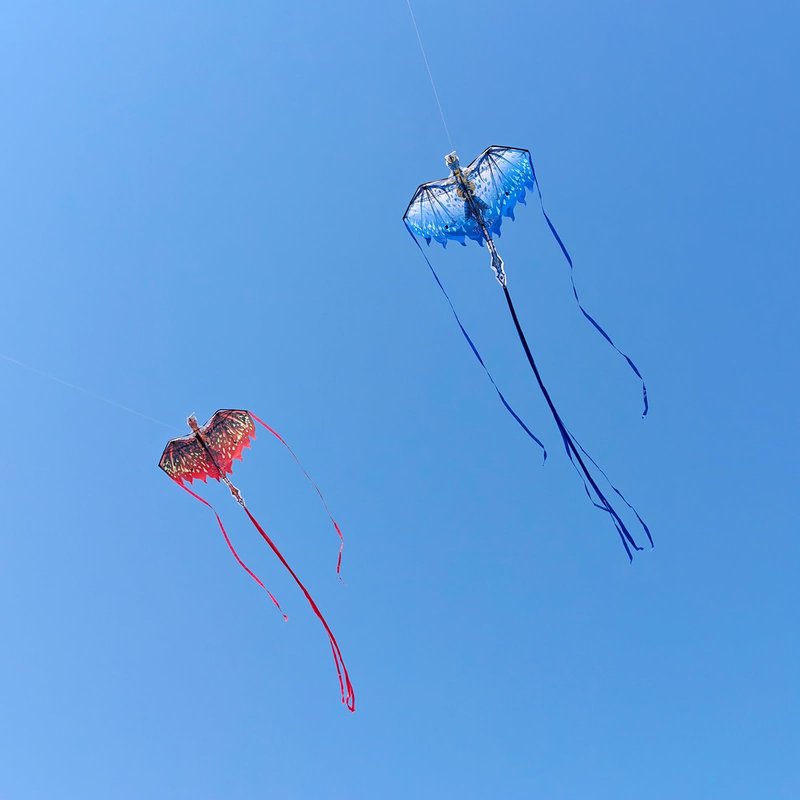 Mint's Colorful Life Dragon Kite for Kids & Adults, Easy to Fly Kites for Beginners, Large Single Line Kite for Beach Trip with 300ft String(Red)