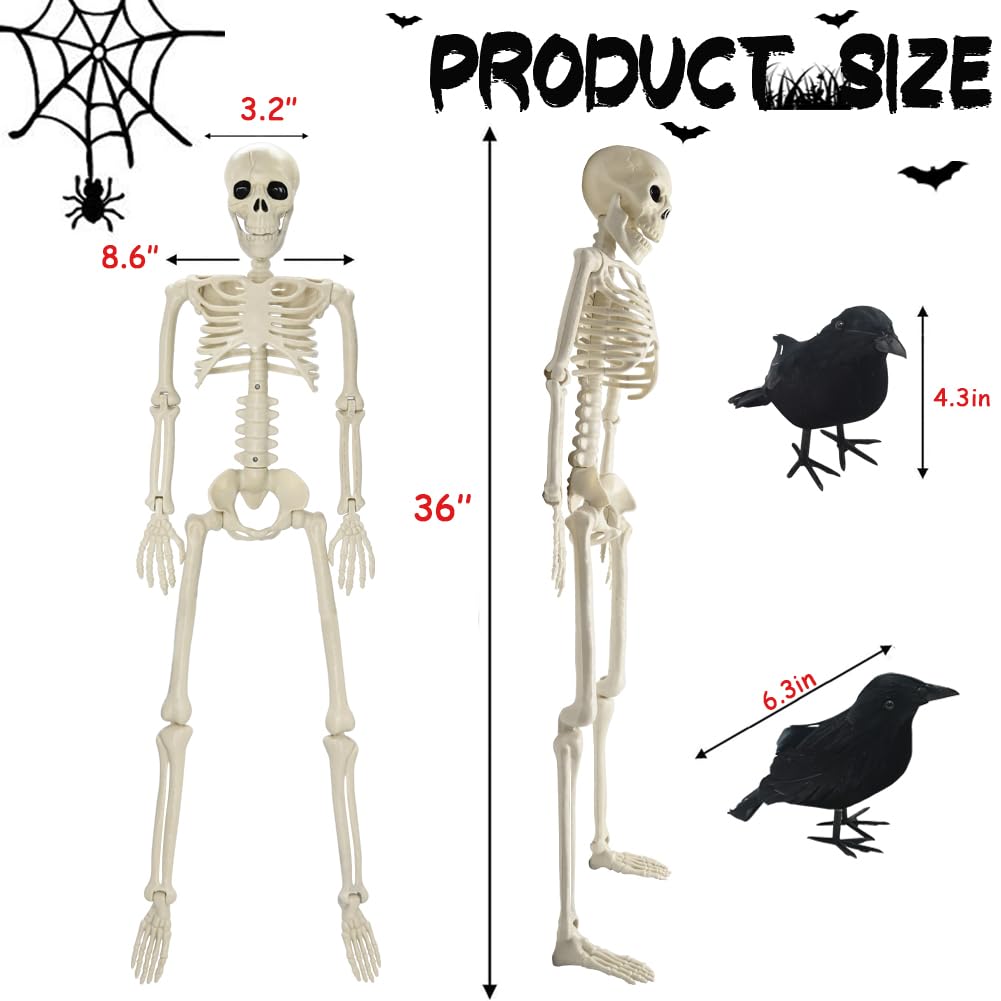 3FT Skeleton Halloween Decorations, Full Body Posable Halloween Skeleton with Movable Joints, 36" Plastic Skeleton with 1PCS Black Crow for Indoor Outdoor Haunted House Prop Decor