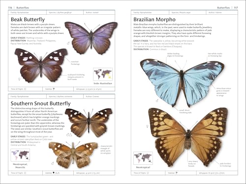Butterflies and Moths (DK Smithsonian Handbook)