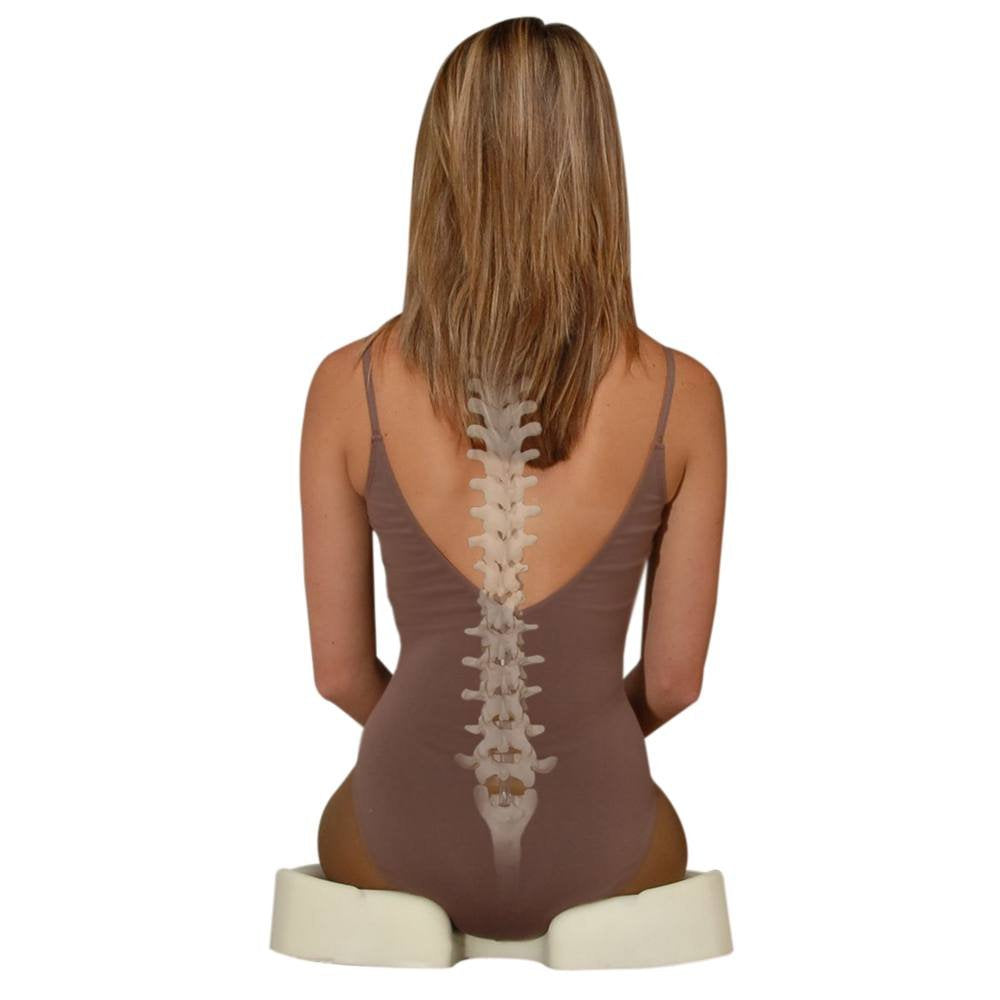 Kabooti Donut Seat Cushion, 3-in-1 Design with Center Cutout for Tailbone Pain, Sciatica and Hemorrhoids