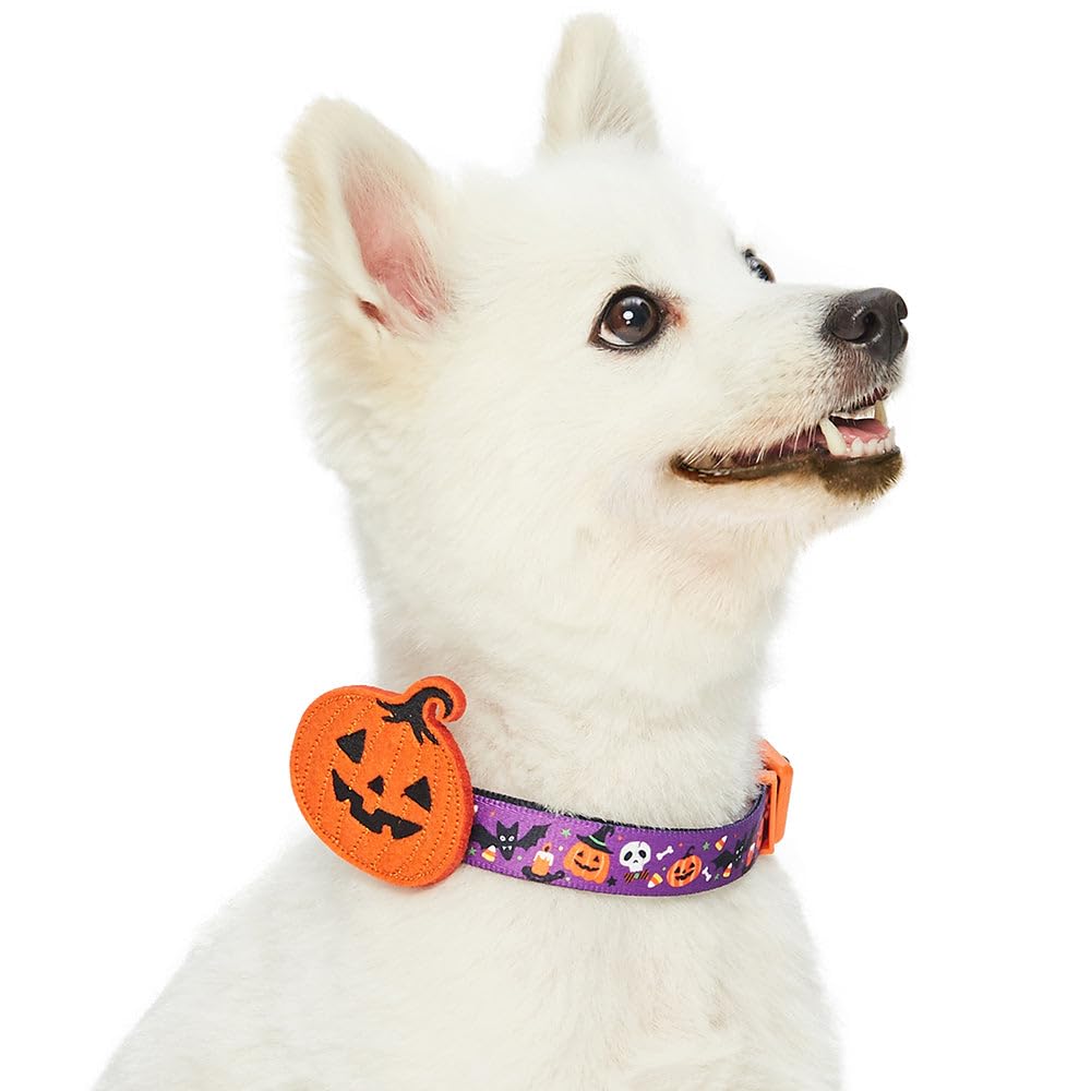 Blueberry Pet Halloween Pumpkin Party Designer Adjustable Dog Collar with Detachable Decoration, Medium, Neck 14.5"-20"