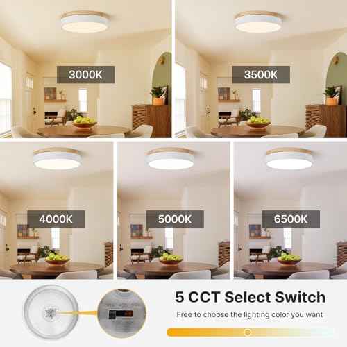 Led Flush Mount Ceiling Light: 11.8" Dimmable 5CCT Overhead Ceiling Lighting Fixture - Morden White Round Close to Ceil Lights - Flat Wood Minimalist Light Fixtures for Living Room Laundry Bedroom