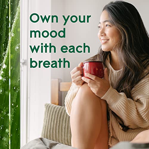 Glade Aromatherapy Diffuser & Essential Oil, Air Freshener for Home, Choose Calm Scent with Notes of Lavender & Sandalwood, 0.56 Fl Oz