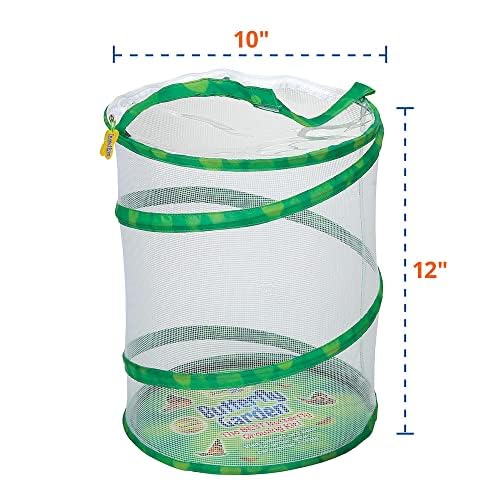 Insect Lore Butterfly Garden with Two Cups of Live Caterpillars, Life Cycle Figurines, English and Spanish Butterfly STEM Activity Journals | 10 Painted Lady Butterfly Baby Caterpillars