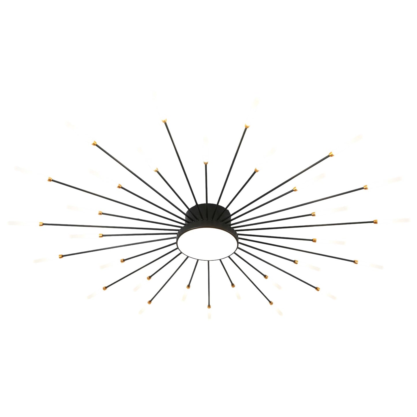 JAYMP Ceiling Light Modern Flower Shape Ceiling Lamp for Living Room Dining Room Flush Mount Metal Acrylic Sputnik Firework Petal LED Lighting Fixture (Matte Black, 30+1 Lights)