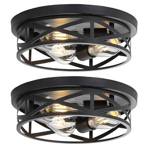 13 Inch Close to Ceiling Light Fixtures 2 Pack, 3-Lights Farmhouse Flush Mount Ceiling Light, Black Indoor Metal Cage Semi Flush Mount Ceiling Light for House Hallway Kitchen Bedroom