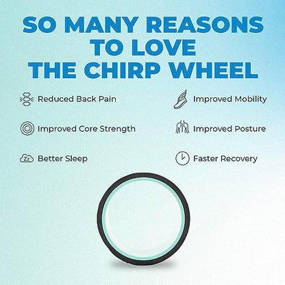 Chirp Wheel Foam Roller - Targeted Back & Neck Pain Relief, Muscle Massage, Trigger Point Therapy, High-Density Foam Tool for Physical Therapy, Stretching & Exercise, 500lbs Capacity, 6 Inch Mint