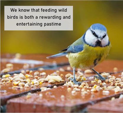 Dried Mealworms 5kg Premium Insectivorous Wild Bird Food By Maltbys' Stores 1904 Limited
