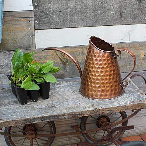 Achla Designs Dainty Hammered Copper Watering Can, 3 Pint