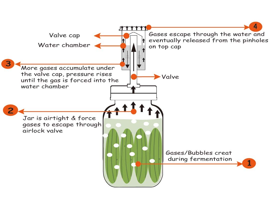 Jillmo Fermentation Kit, Stainless Steel Fermenting Lids for Wide Mouth Mason Jars (NO Jars)