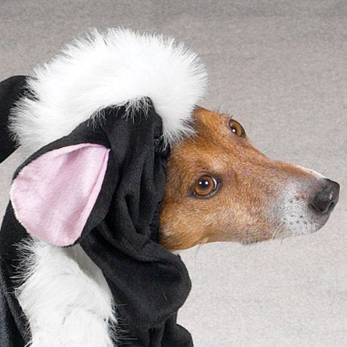 Casual Canine Lil' Stinker Dog Costume, Medium (fits lengths up to 16"), Black/White