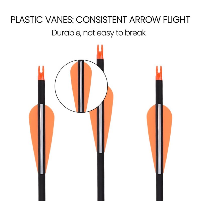 30Inch Carbon Arrow Practice Hunting Arrows Targeting with Removable Tips for Archery Compound & Recurve & Traditional Bow (Pack of 12)