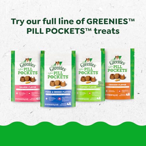 Greenies Feline Pill Pockets for Cats Natural Soft Cat Treats, Catnip Flavor, 1.6 oz. Pouch (45 Treats)