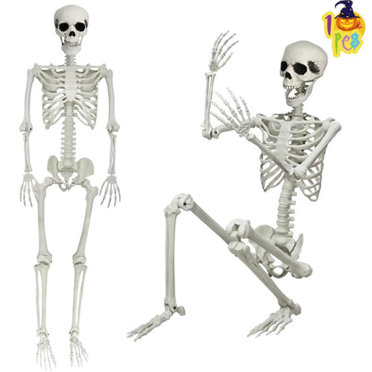LUKBERA Posable Halloween Skeletons, 1Pcs 5.9ft Life Size Human Skeleton with Movable Joints for Halloween Haunted House Decoration