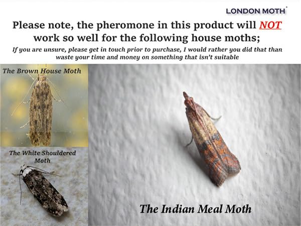 LONDON MOTH KILLER 10 (TEN) Premium Sticky Pheromone Moth Traps for the Common Clothes Moth and Similar Variants, for Wardrobes, Clothes and Carpets. inc. eBook