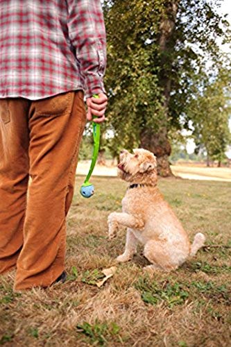 ChuckIt! Fetch Medley Gen 1 Rubber Dog Balls, The Whistler, Max Glow & Rebounce Balls for Dogs, Durable High Bounce Launcher Compatible Dog Toy, Medium, 3 Pack