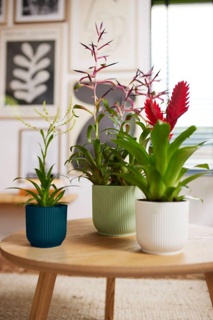elho Vibes Fold Round 18 - Flower Pot from 100% Recycled Plastic - Indoor plant pot - Ø 18.4 x H 16.8 cm - Green/Sorbet Green
