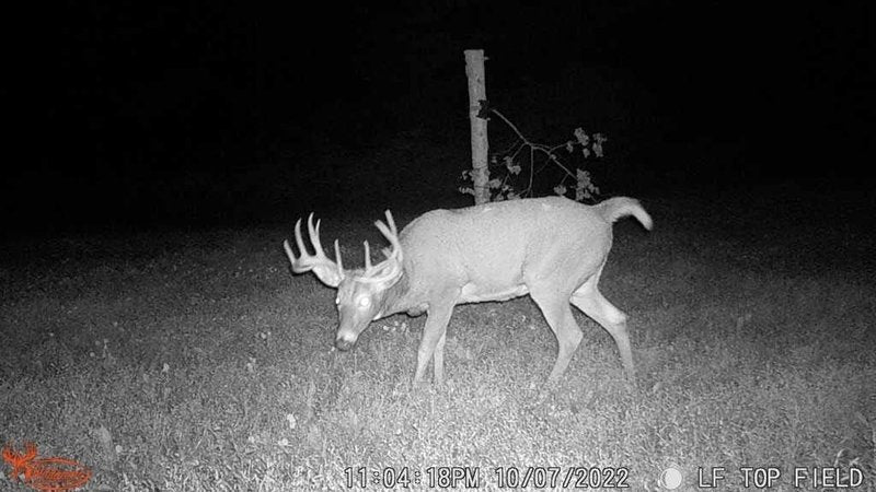 Wildgame Innovations Terra Xtreme 16MP Trail Camera - High-Resolution Night Vision