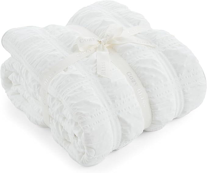 Cozy Bliss Cooling Comforter Twin Size Seersucker Plaid, Q-Max 0.4 Reversible Lightweight Cooling Blanket, Breathable Silk Smooth Summer Bedding Quilt for Hot Sleepers Night Sweats White