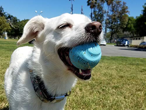 ChuckIt! Fetch Medley Gen 1 Rubber Dog Balls, The Whistler, Max Glow & Rebounce Balls for Dogs, Durable High Bounce Launcher Compatible Dog Toy, Medium, 3 Pack