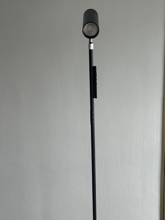 Adjustable RGB Floor Lamp, Single Head, Black