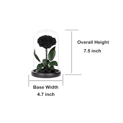 Preserved Roses Black Roses in Glass Dome, Medium, Preserved Flowers for Mothers Day, Gifts for Women