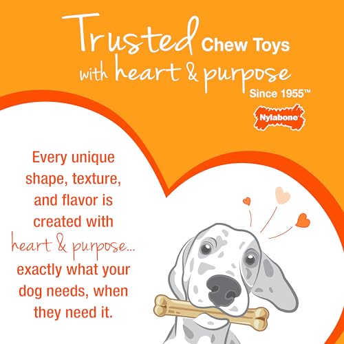 Nylabone Puppy Teething Chew Toy Freezer Bone with Soothing Cloth, Peanut Butter Flavour, S, for Puppies Up to 11 kg