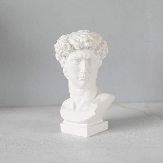 3UOOWWFA Head Planter, Resin Succulent Planter Greek Statue Lady Vase for Indoor Outdoor Decoration-d 18x28cm(7x11inch)