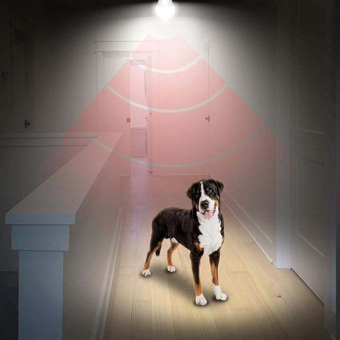 AmeriTop Motion Sensor Light Bulb- 4 Pack, 10W(60W Equivalent) 806lm Motion Activated Dusk to Dawn Security LED Bulb; UL Listed, A19, E26, Auto On/Off Indoor Outdoor Lighting (5000K Daylight)
